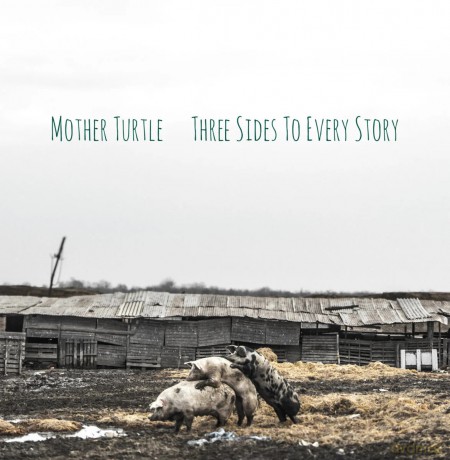 Mother Turtle: Three Sides to Every Story [Winyl]