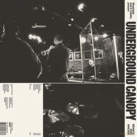 Underground Canopy: Underground Canopy/Repress [Winyl]