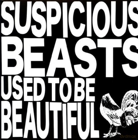 Suspicious Beasts: Used to Be [Winyl]