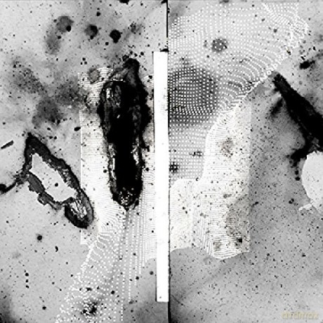 Certain Creatures: Vipassana [2xWinyl]