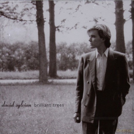 David Sylvian: Brillant Trees [CD]