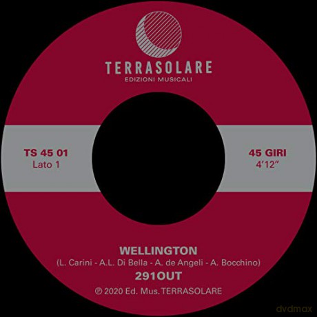 291Out: Wellington [Winyl]