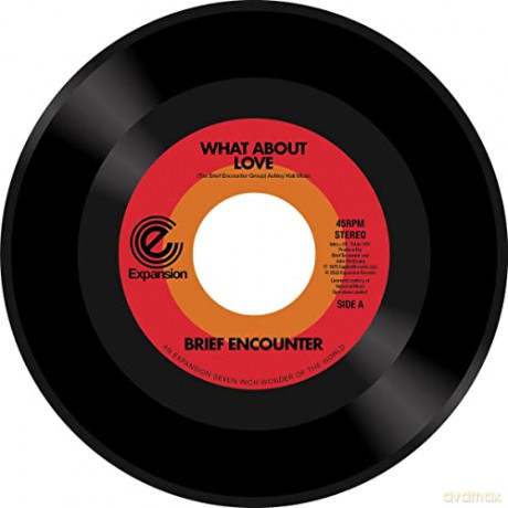 The Brief Encounter: What About Love/Got A Good Feeling [Winyl]