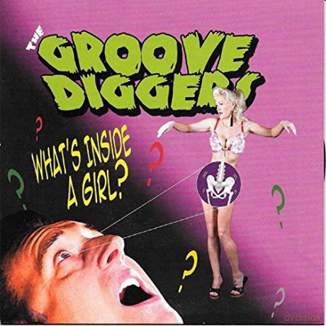 Groove Diggers: What's Inside a Girl [Winyl]