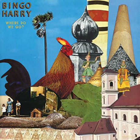 Bingo Harry: Where Do We Go [Winyl]