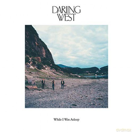 Darling West: While I Was Asleep [Winyl]
