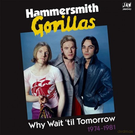 Hammersmith Gorillas: Why Wait Until Tomorrow 1974-1981 [Winyl]