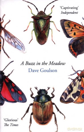 A Buzz in the Meadow - Dave Goulson [KSIĄŻKA]