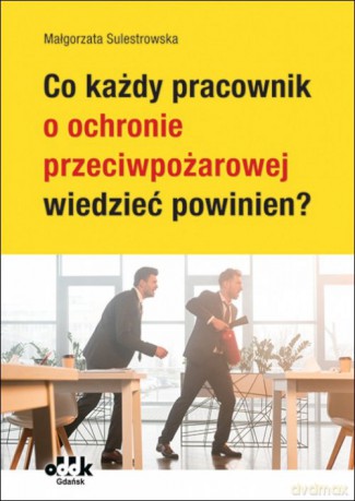Co każdy pracownik o ochronie przeciwpożarowej wiedzieć powinien - Małgorzata Sulestrowska [KSIĄŻKA]