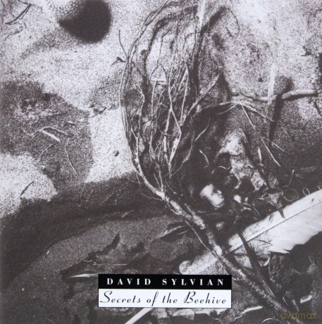 David Sylvian: Secrets Of The Beehive [CD]