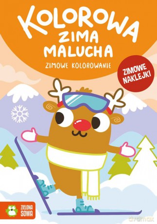 Kolorowa zima malucha Zimowe kolorowanie [KSIĄŻKA]