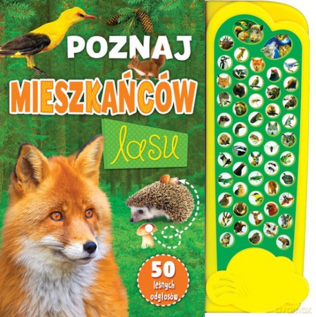 Poznaj mieszkańców lasu [KSIĄŻKA]