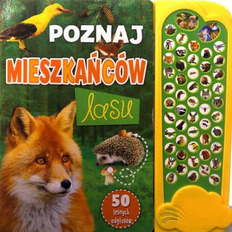 Poznaj mieszkańców lasu [KSIĄŻKA]