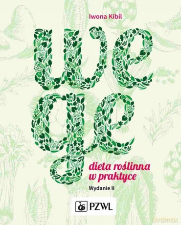Wege - Iwona Kibil [KSIĄŻKA]