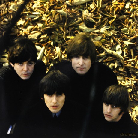 The Beatles: Beatles For Sale (Limited) [WINYL]