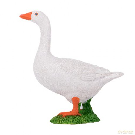 Gęs biała