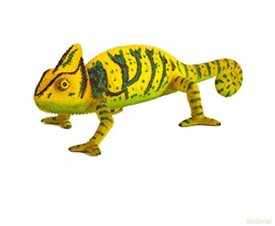Kameleon