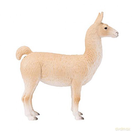 Lama