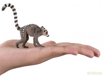 Lemur z młodym