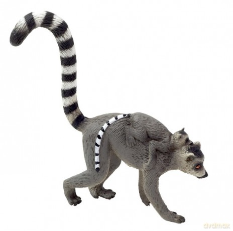 Lemur z młodym
