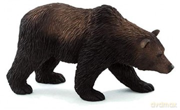 Niedzwiedz Grizzly