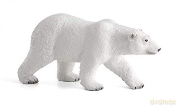 Niedzwiedz polarny