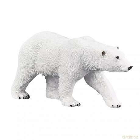 Niedzwiedz polarny