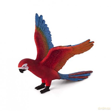 Papuga