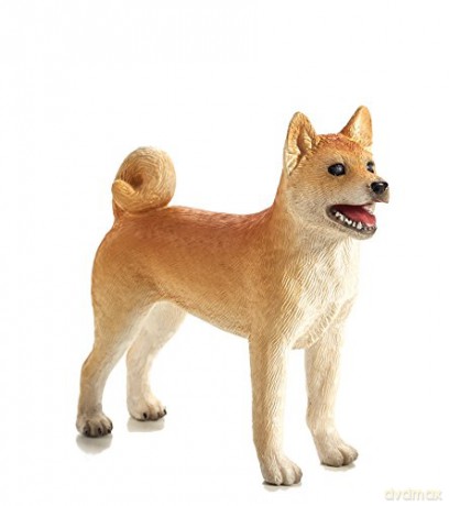 Pies Shiba Inu