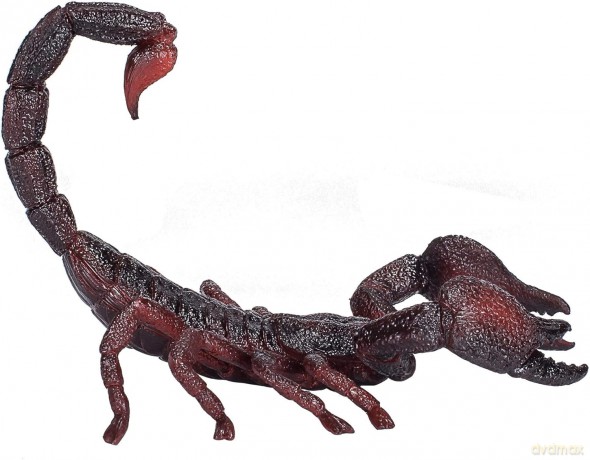 Skorpion cesarski