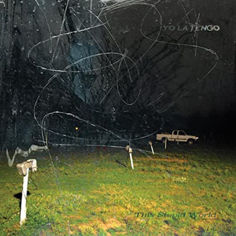 Yo La Tengo: This Stupid World [CD]