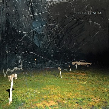 Yo La Tengo: This Stupid World (Limited) [Winyl]