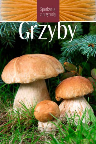 Grzyby. Spotkania z przyrodą - Marek Snowarski [KSIĄŻKA]