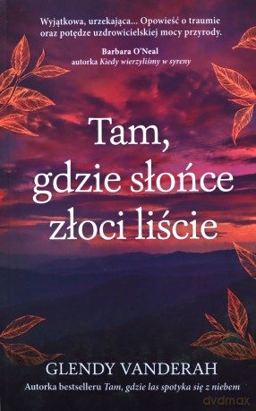 Tam, gdzie słońce złoci liście - Glendy Vanderah [KSIĄŻKA]