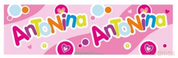 Bidon 300 ml Antonina