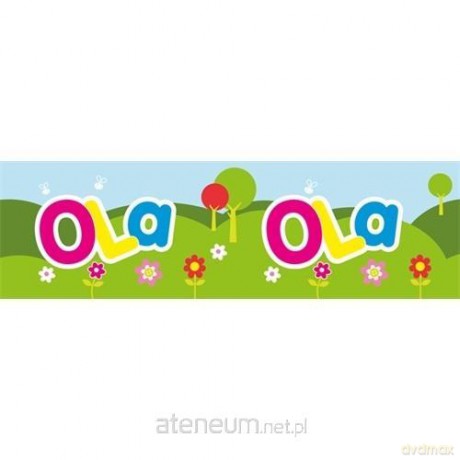Bidon 300 ml Ola
