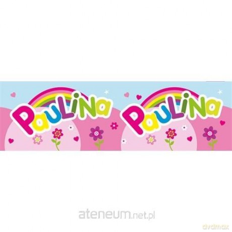 Bidon 300 ml Paulina