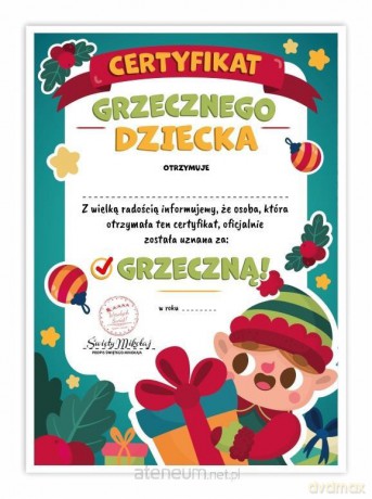 Certyfikat A4 grzecznego dziecka - Elf 5 szt