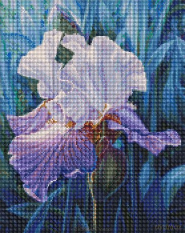 Diamentowa mozaika - Irys wiosenny 40x50 cm