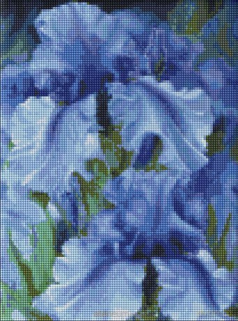 Diamentowa mozaika - Niebieskie tęczówki 30x40 cm