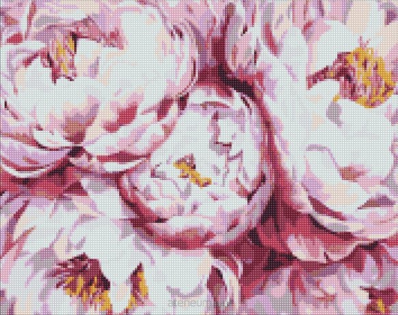 Diamentowa mozaika - Piwonie królewskie 40x50 cm