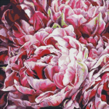 Diamentowa mozaika - Szaleństwo kolorów 40x40 cm