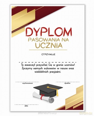 Dyplom A4 pasowania na Ucznia - Biret 20 szt