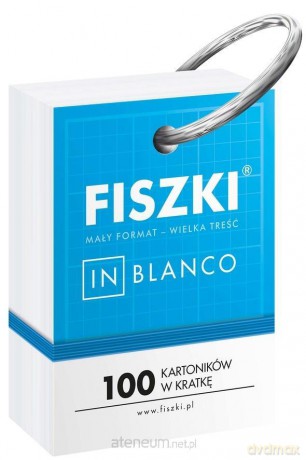 Fiszki in blanco. 100 kartoników w kratkę