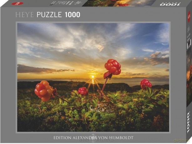 HEYE 1000 el. Malina Nordycka z zachodem słońca [PUZZLE]