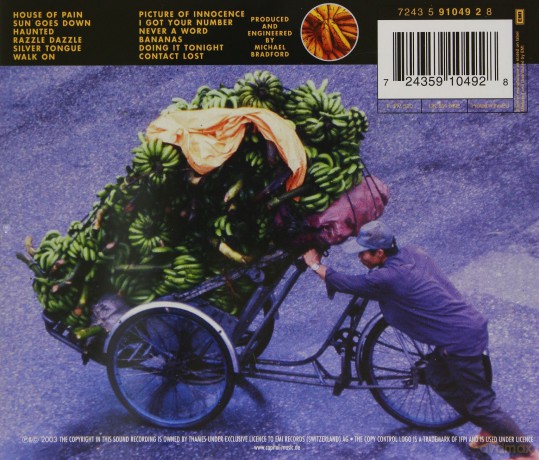 Deep Purple: Bananas [CD]