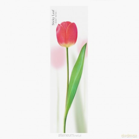 Kartki samoprzylepne - tulipan róż