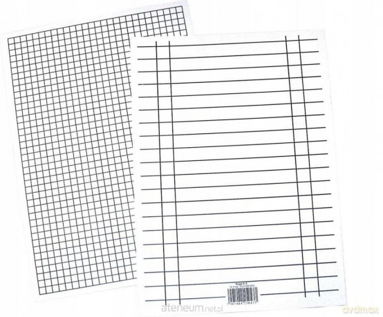 Liniuszek A5 kratka/linia 170g (10 szt)