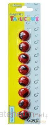 Magnesy do tablic 20mm 8 szt