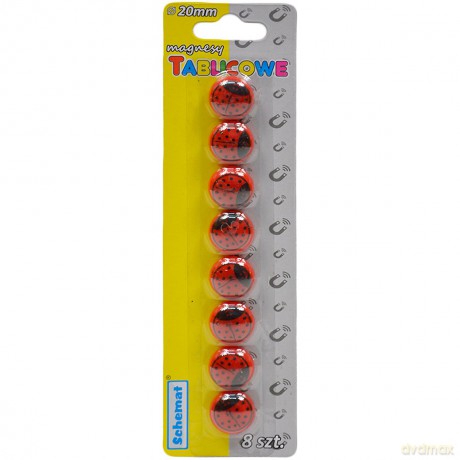 Magnesy do tablic 20mm 8 szt